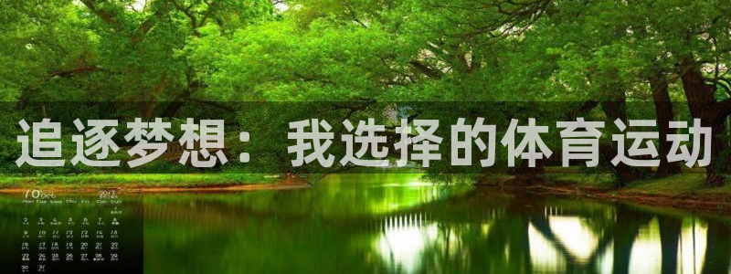vsport体育官方正版app集团E.ON：追逐梦想