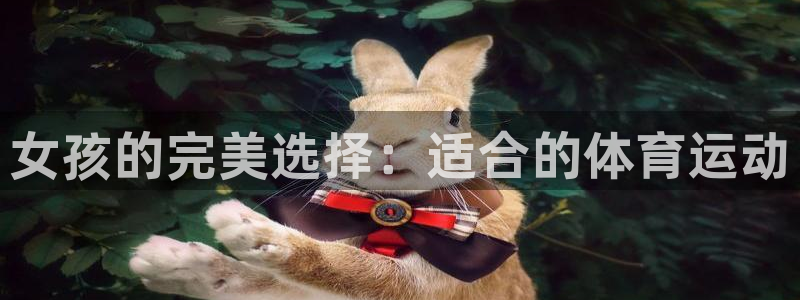 vsport体育官方正版app集团官网网址