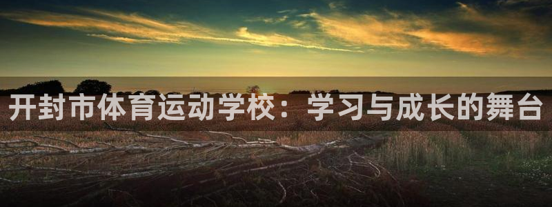 vsport体育官方正版app新能源