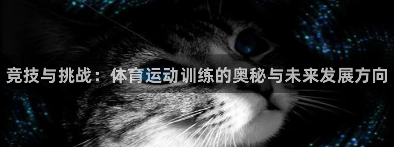 vsport体育官方正版app集团官网首页网址：竞技