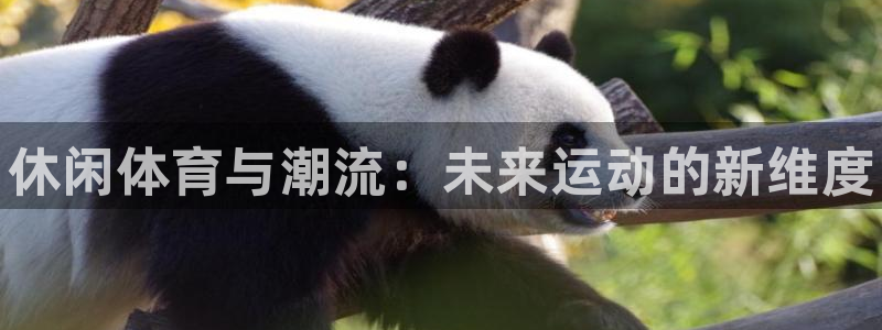 vsport体育官方集团官网