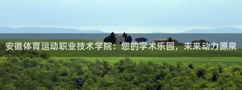 注册vsport体育官方正版app：安徽体育运动职业