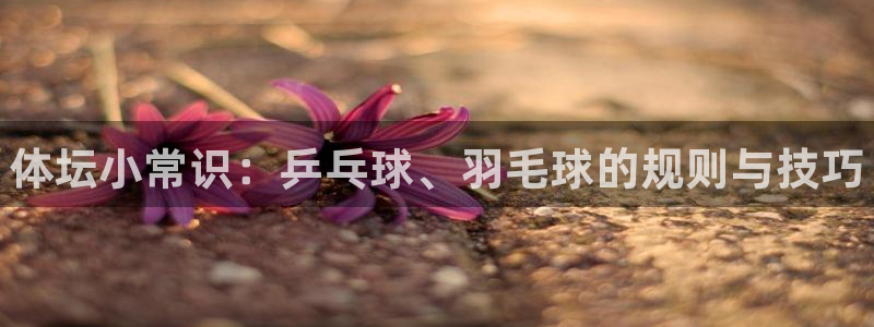 vsport体育官网下载：体坛小常识：乒乓球、羽毛球