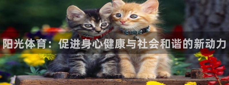 vsport体育官方正版app娱乐：阳光体育：促进身