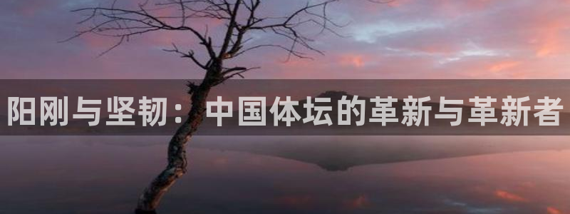 vsport体育官网下载招商电话是多少号码：阳刚与坚