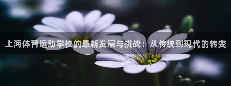 vsport体育官方正版app代理：上海体育运动学校的最新发