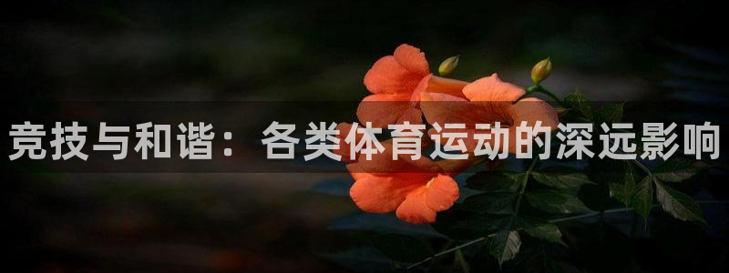 vsport体育官方正版app集团官网首页