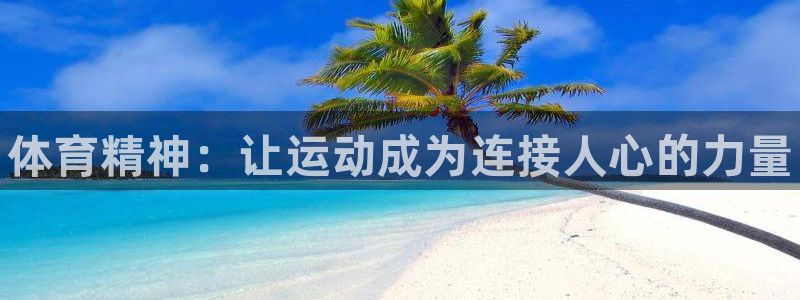 vsport体育官方正版app集团官网首页网址：体育