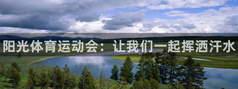 vsport体育官方正版app集团logo：阳光体育