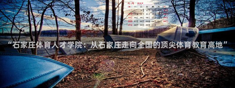 vsport体育官网下载招商电话地址查询：“石家庄体