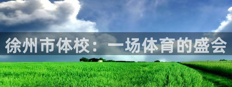 vsport体育官方正版app开户：徐州市体校：一场体育的盛