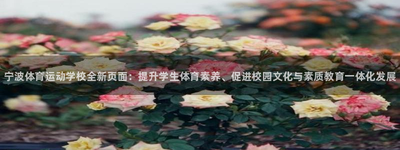 vsport体育官网下载招商电话号码是多少啊：宁波体育运动学
