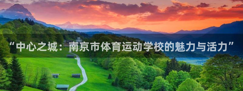 vsport体育官方正版app代理：“中心之城：南京市体育运