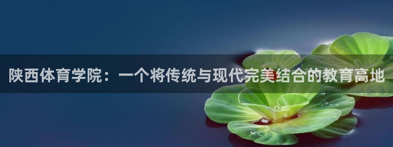 海南vsport体育官网下载发展怎么样：陕西体育学院