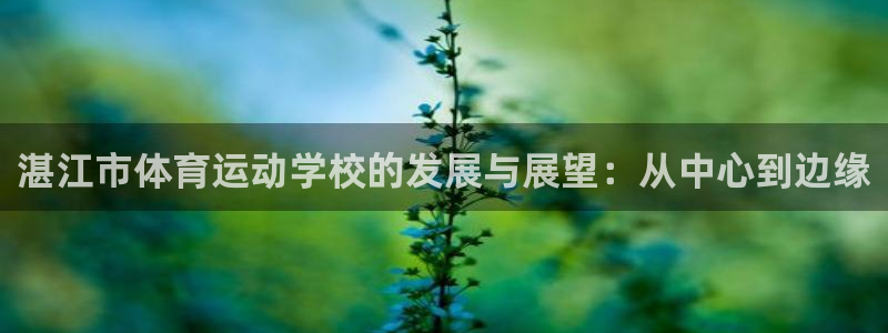 vsport体育官网下载平台是正规平台吗知乎：湛江市