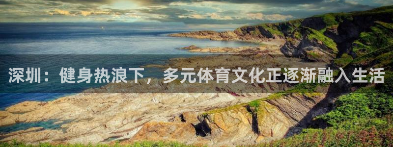vsport体育官方正版app集团logo：深圳：健