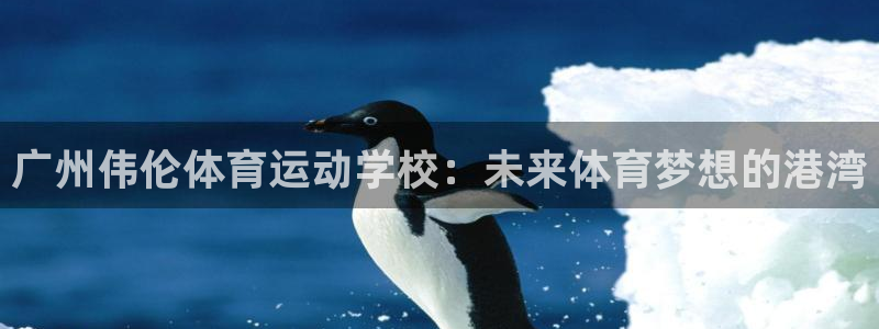 vsport体育官方正版app娱乐网站：广州伟伦体育