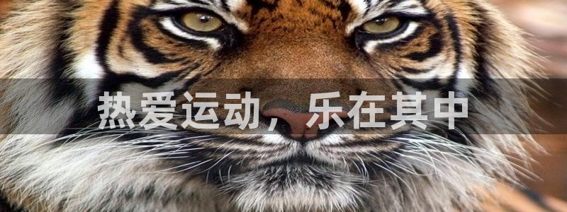 vsport体育官网下载官方客服电话：热爱运动，乐在其中