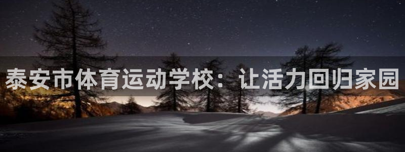 vsport体育官方平台体育