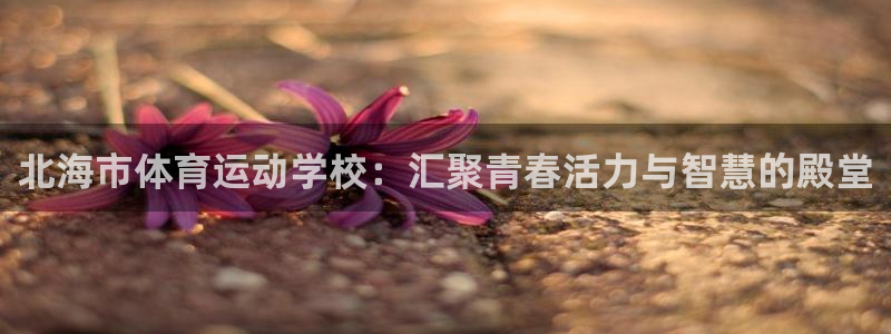 vsport体育官网下载平台注册：北海市体育运动学校：汇聚青