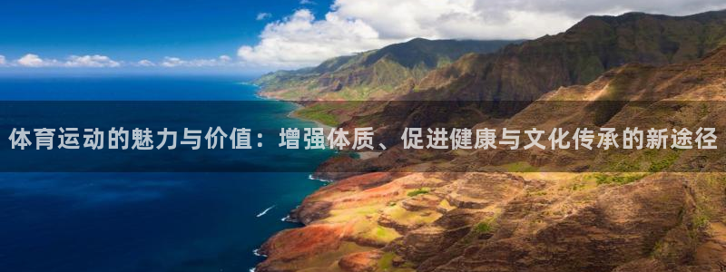 vsport体育官方正版app集团官网首页网址：体育