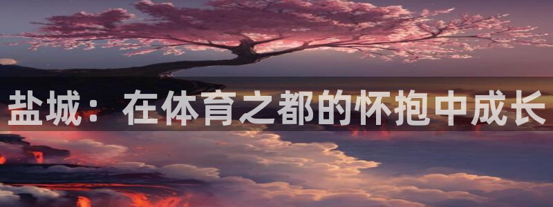 vsport体育官方正版app开户：盐城：在体育之都