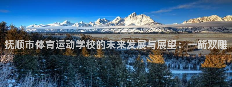 vsport体育官方正版app集团logo：抚顺市体