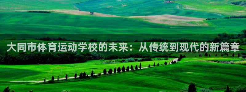 vsport体育官网下载平台是正规平台吗安全吗：大同