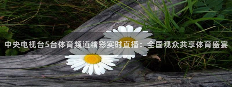 so米体育直播间：中央电视台5台体育频道精彩实时直播：全国观众共享体育盛宴