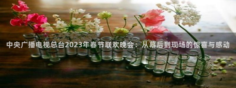 so米体育在线观看直播：中央广播电视总台2023年春节联欢晚会：从幕后到现场的惊喜与感动
