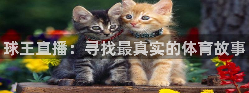 so米体育直播免费下载：球王直播：寻找最真实的体育故事