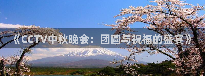 so米体育直播免费下载：《CCTV中秋晚会：团圆与祝福的盛宴》