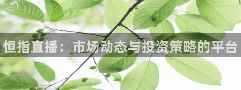 so米体育直播视频：恒指直播：市场动态与投资策略的平台