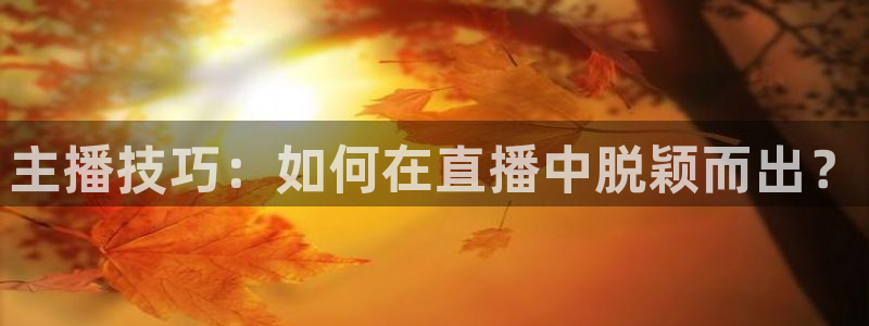 so米赛事直播