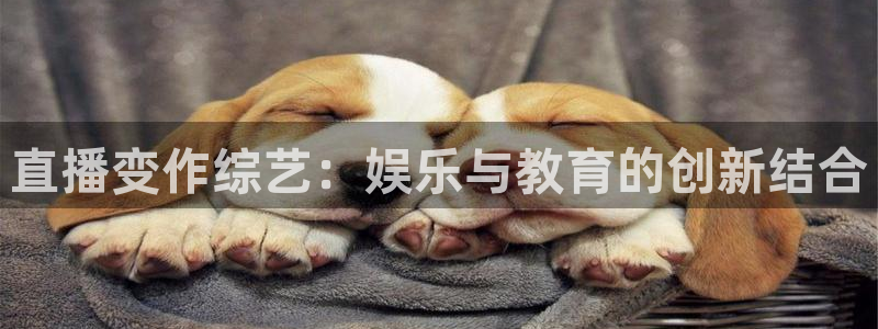 so米足球比赛直播：直播变作综艺：娱乐与教育的创新结合
